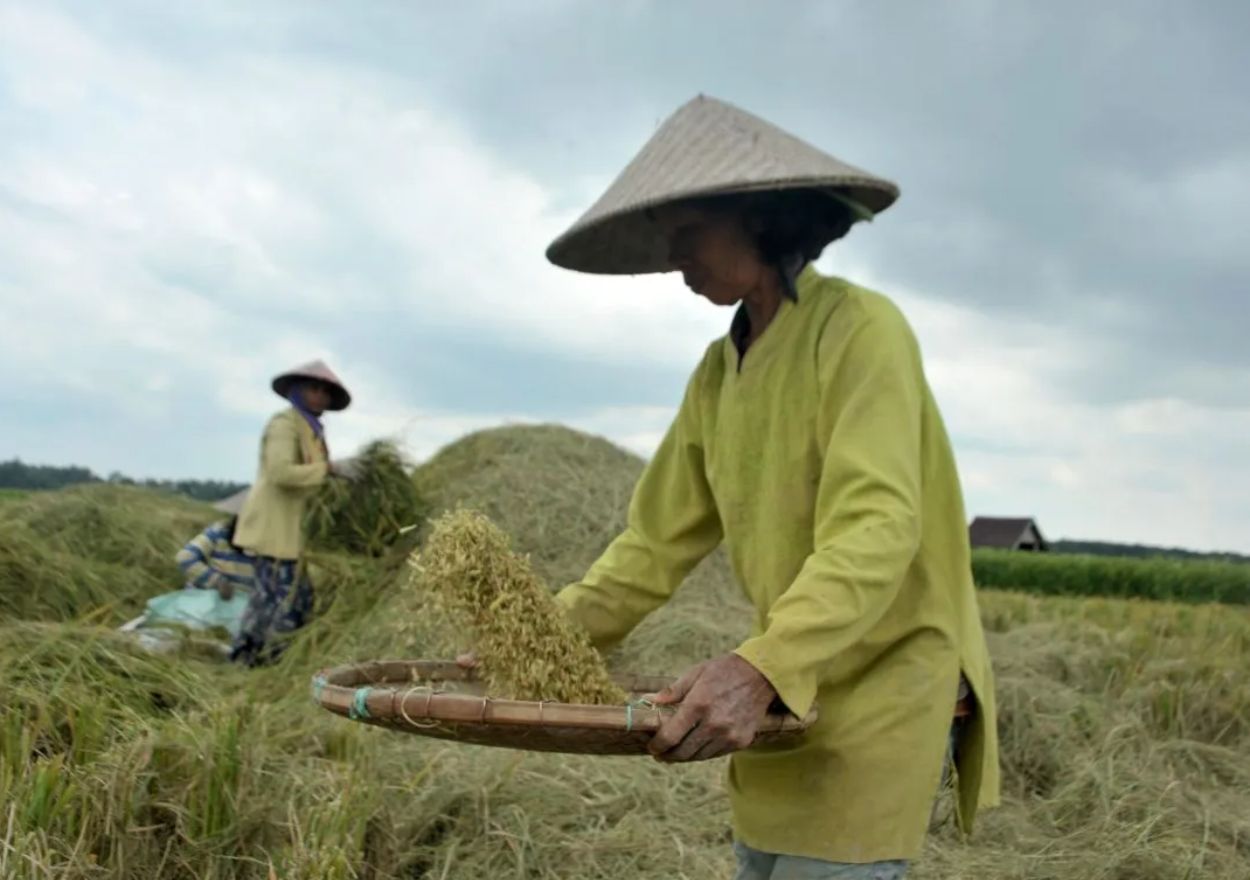 Arah Kebijakan Pangan Indonesia Berada di Titik Kritis