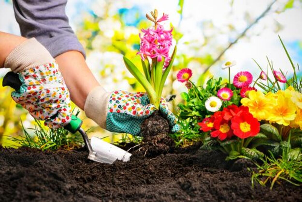 5 Aktivitas Seru buat Temani Long Weekend Kamu Biar Gak Bosen