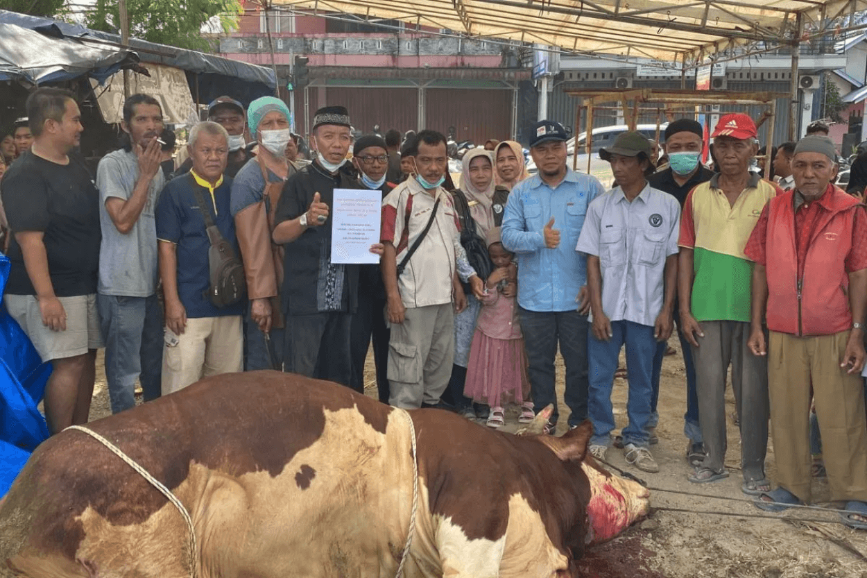 Daging Kurban Presiden Dibagikan ke 700 Warga Pasaman Barat: 