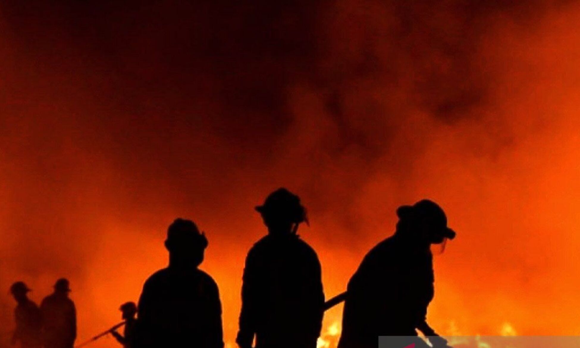 Kebakaran Melanda Kampung Rawa Indah, Ribuan Warga Terpaksa Mengungsi