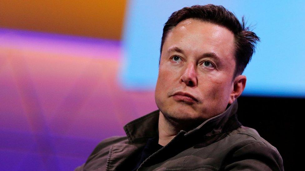 Dulu Sahabat, Kini Jadi Musuh! Elon Musk Hajar Trump Soal Pajak Energi Terbarukan