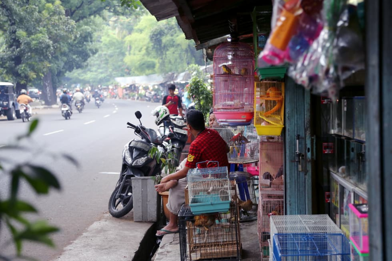 Pasar Burung Barito Terancam Digusur Demi Taman ASEAN, Pedagang dan Warga Heboh