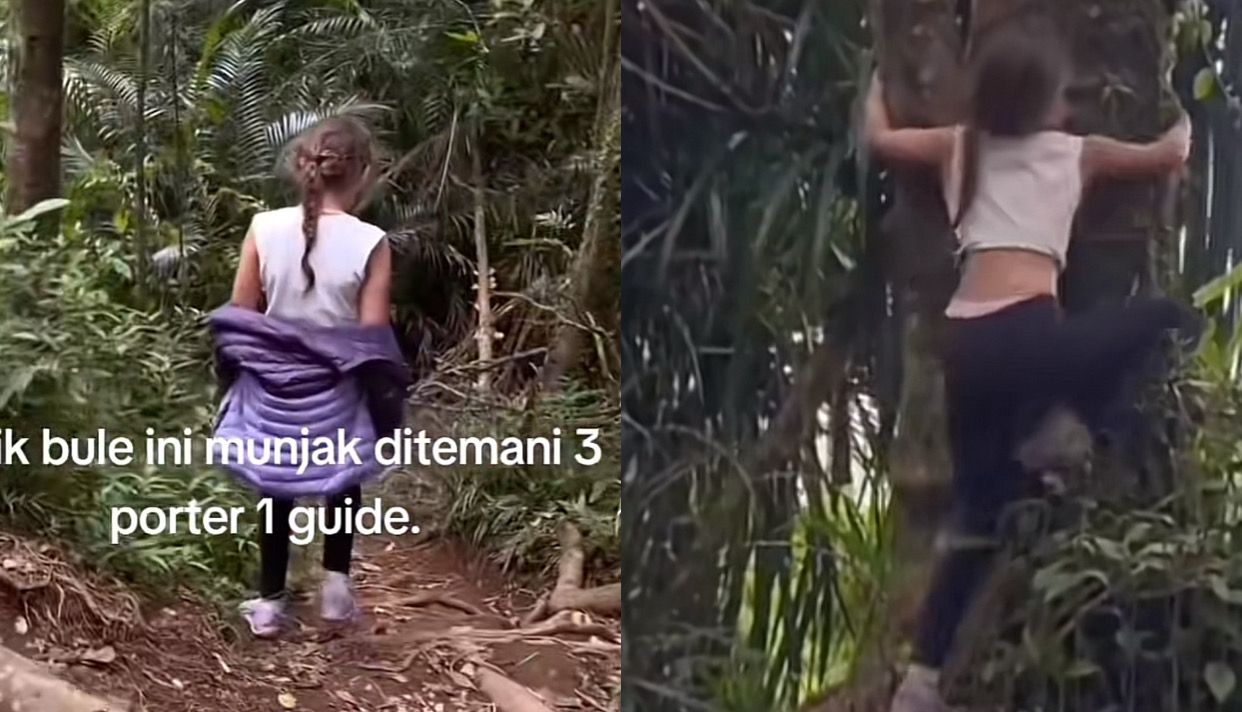 Viral! Anak Bule Taklukan Puncak Rinjani 3.726 Mdpl Sendirian, Netizen: 'Masa Kalah Sama Anak Kecil?'
