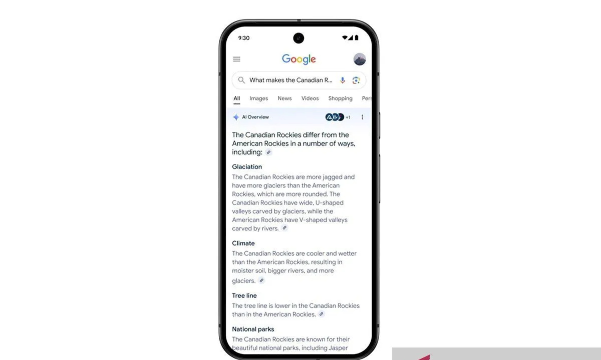Geger! Google Bantah AI Jadi Biang Keladi Turunnya Trafik Website, Tapi Fakta di Lapangan Bicara Lain