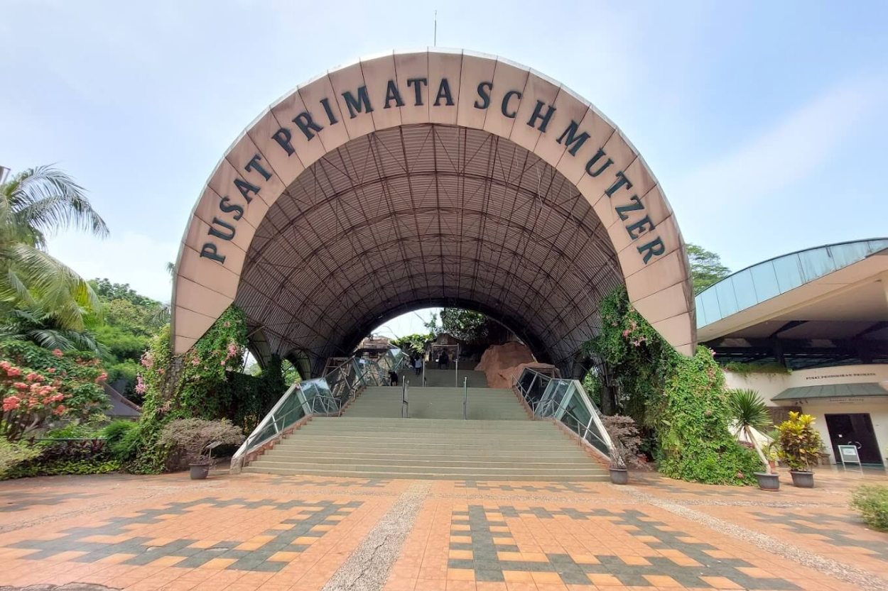 Siap-siap! Taman Margasatwa Ragunan Bakal Buka Sampai Malam, Ada Konsep Night Zoo?