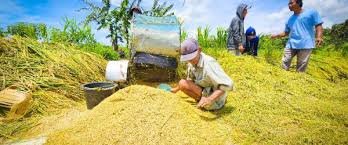 Kasihan Petani, Kenaikan Harga Beras Lebih Banyak Dinikmati Pedagang