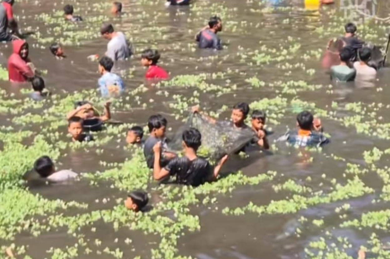 Geger Tradisi Buka Tetek di Klaten: Ratusan Warga Berebut Ikan 2 Kuintal!