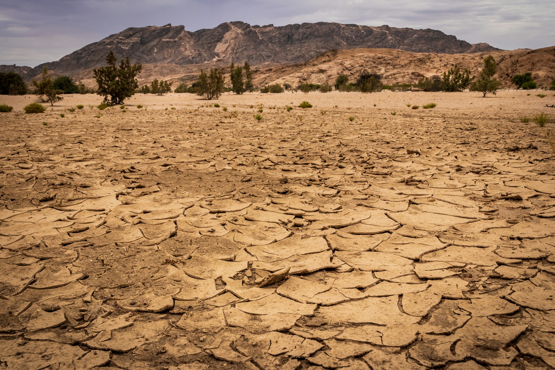 Kiamat Air Global, Day Zero Drought Ancam 750 Juta Orang di Tahun 2100!