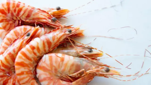 Cikande Tercemar Cs-137, dari Udang Beku hingga Bangunan Warga, Berikut Kronologi Kasus!