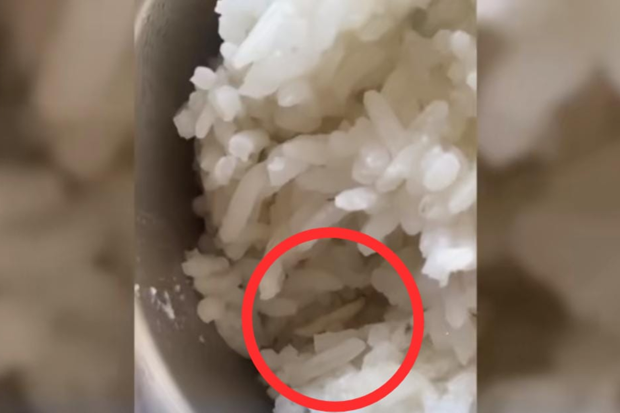 Menjijikkan! Ada Ulat Merayap di Nasi MBG SMPN 2 Parung Bogor, SPPG Sebut dari Pisang Matang