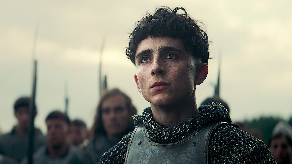 Muda dan Memukau! Rekomendasi Film-Film Timothée Chalamet di Netflix