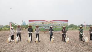 Tak Melulu Soal Beras, Menko Pangan Akui Pentingnya Diversifikasi Pangan