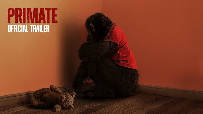 Film Horor Primate (2025) Bikin Geger, Cerita Simpanse Peliharaan yang Berubah Jadi Pembunuh Brutal