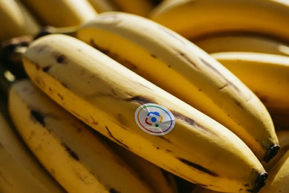 Google Hadirkan Fitur AI Pengedit Gambar "Nano Banana" di Indonesia