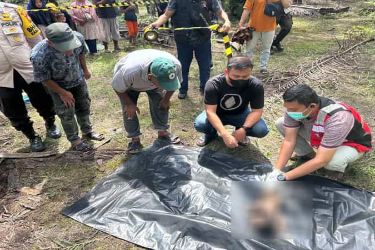 Mayat Bayi Termutilasi Ditemukan Warga Bukittinggi, Sempat Digigit Anjing dan Terpotong 3 Bagian