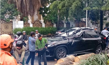 Pengemudi Lexus Tewas Tertimpa Pohon Saat Hujan Deras di Pondok Indah!
