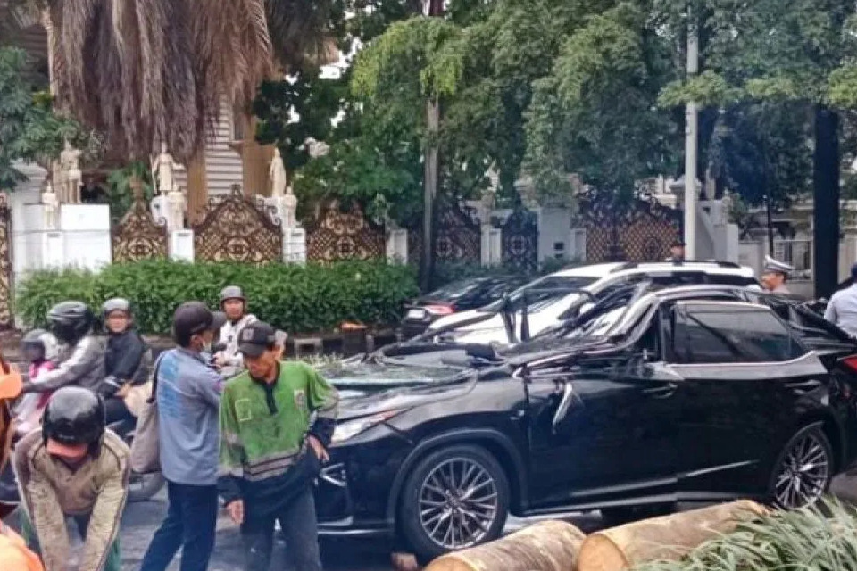 Pengemudi Tewas Tertimpa Pohon Tumbang di Pondok Indah Saat Hujan Disertai Angin Kencang