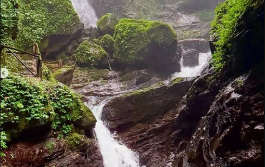 Curug Walet Bogor: Hidden Gem Kaki Gunung Salak dengan Air Jernih dan Trekking Menantang!