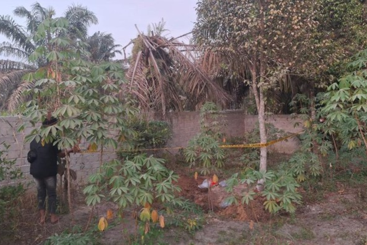 Jasad Pria Telanjang Ditemukan Terkubur di Kebun Siak Riau, Dibungkus Terpal Biru