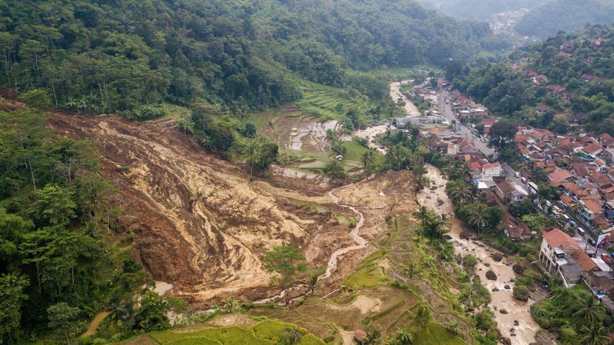45 Warga Masih Terjebak di Tengah Longsor Banjarnegara, Evakuasi Dikebut di Tengah Situasi Mencekam