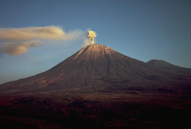 Semeru Naik ke Level Awas, 32 Kali Gempa Guguran dalam 6 Jam: Warga Diminta Siaga Total!