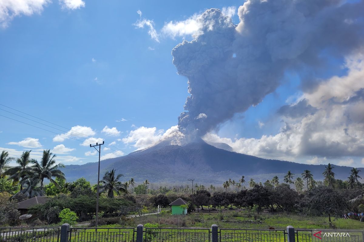 Gunung Lewotobi Naik ke Level Awas, Aktivitas Gempa Meledak 64 Kali dalam 8 Jam!