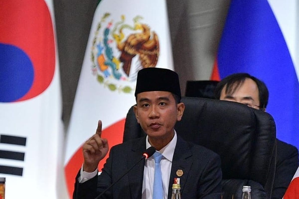 Resmi! WNI Bebas Visa ke Afrika Selatan