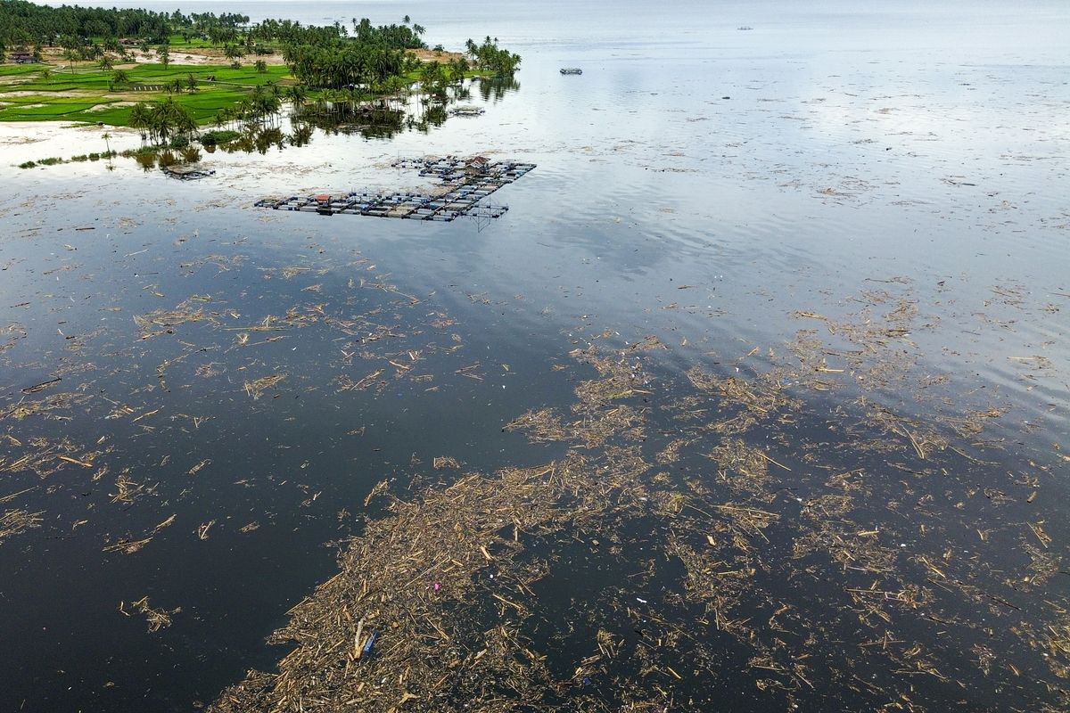 Ratusan Kayu Hanyut di Sumatera Bikin Geger! Pakar IPB: Itu Kayu Baru, Kayu Lama, atau Sisa Land Clearing?