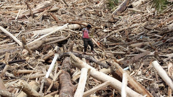 Siapa Sebenarnya yang Babat Hutan Sumatera? Misteri Kayu Gelondongan Hanyut Setelah Banjir Semakin Menemukan Titik Terang
