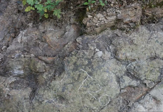 Jejak Kaki Dinosaurus Berumur 200 Juta Tahun Ditemukan di China, Paleontolog Bongkar Informasi Baru Tentang Evolusi Awal Dinosaurus di Era Purba!