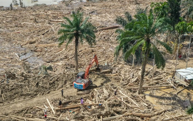Bareskrim Selidiki Illegal Logging di Sungai Tamiang, Polisi Bongkar Modus Panglong Kayu yang Diduga Jadi Biang Kerok Banjir Aceh!