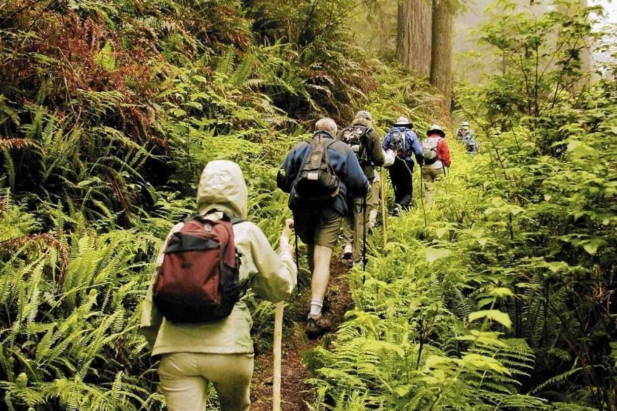 6 Tempat Hiking di Bogor Ini Cocok untuk Pemula, Pemandangannya Bikin Malas Pulang