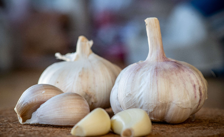 Manfaat Bawang Putih Bagi Kesehatan, Rahasia Hidup Sehat Dengan Bumbu Dapur Yang Punya Khasiat Ajaib