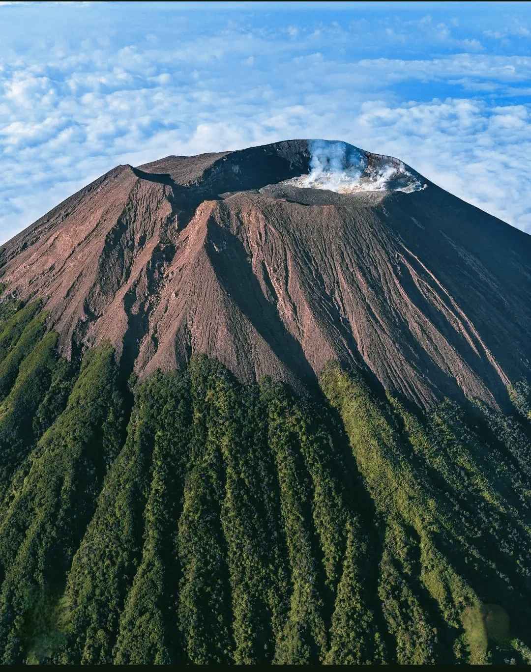 Pendaki Gunung Slamet Syafiq Ali Ditemukan Meninggal di Luar Jalur Pendakian Setelah 16 Hari Pencarian