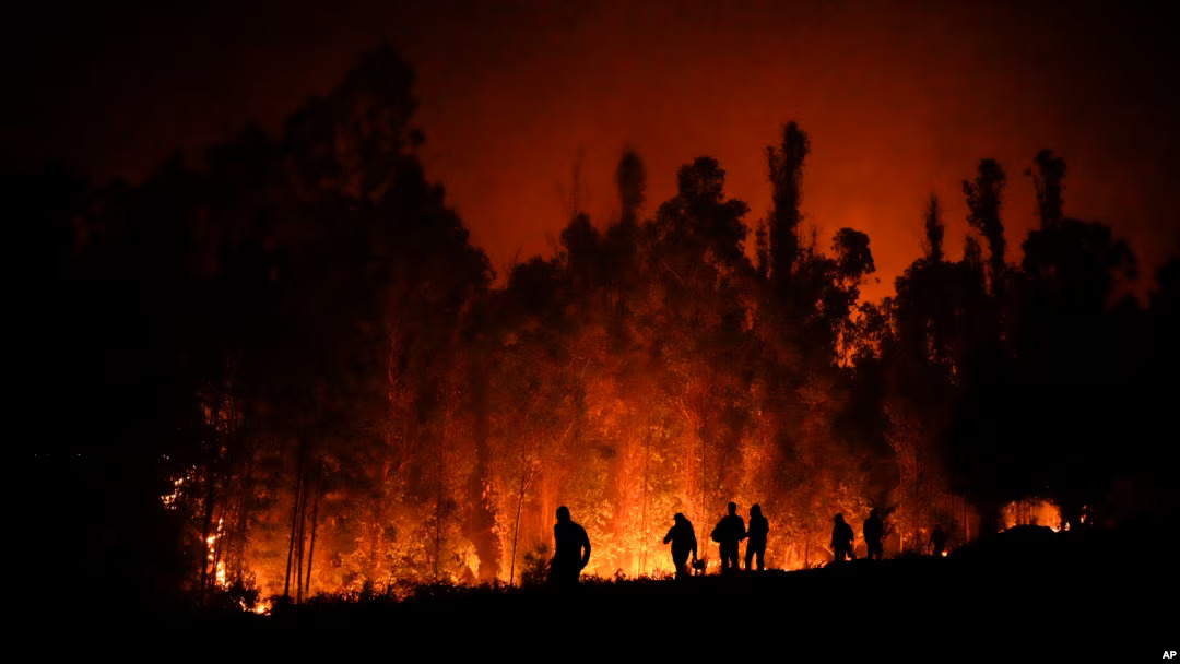 Kebakaran Hutan Hebat di Chile Tewaskan 18 Orang, Presiden Peringatkan Korban Bisa Bertambah