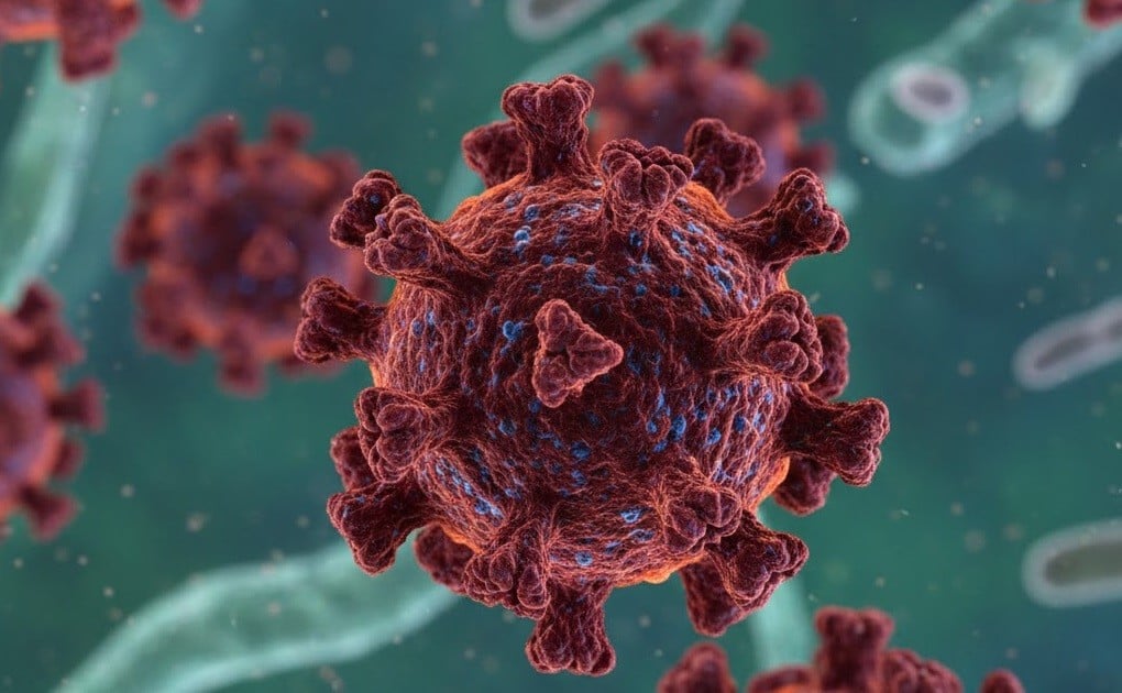 Virus Nipah Mewabah di Thailand, Ini Gejala dan Risiko Penularannya yang Perlu Diwaspadai