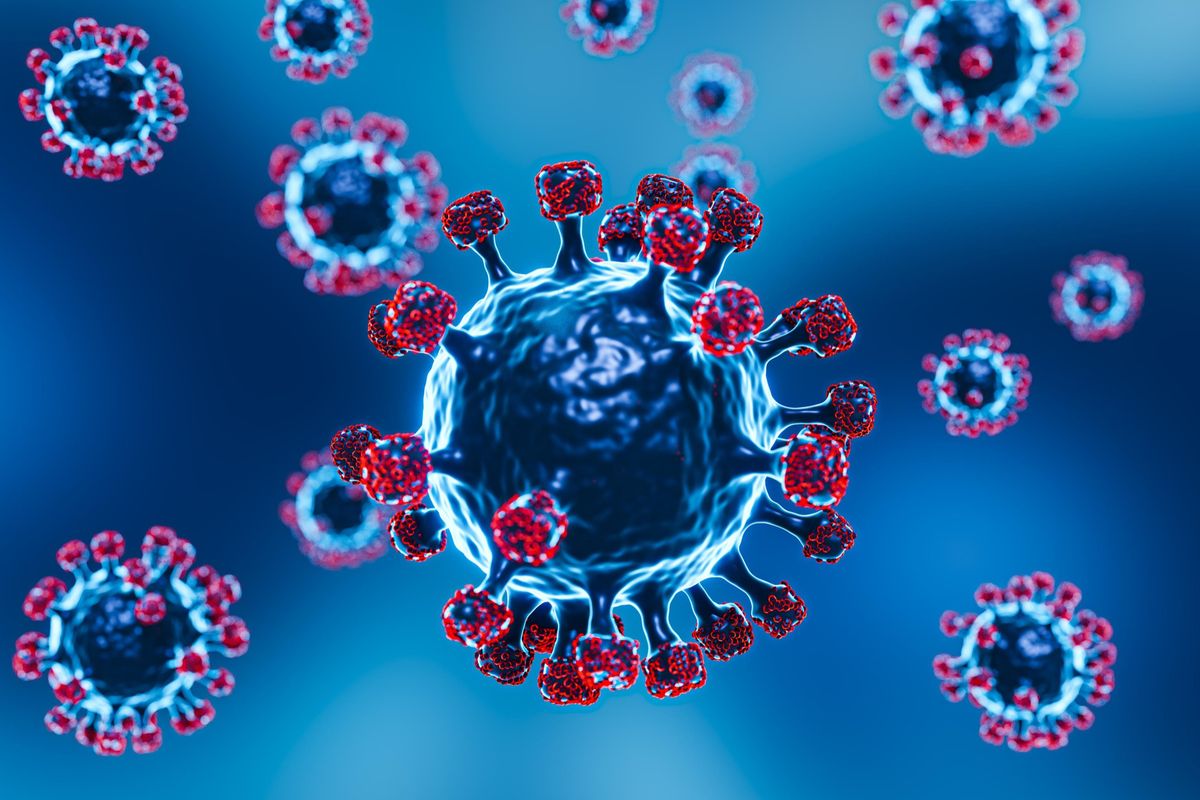 Wabah Virus Nipah Muncul Lagi di India, Ketahui Gejalanya Berikut Ini!