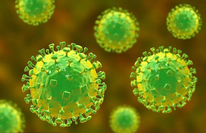 Antisipasi Virus Nipah, Bandara Soekarno-Hatta Perketat Pengawasan Penumpang Internasional