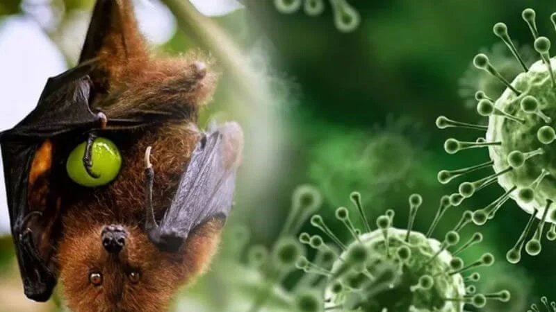 BBKK Denpasar Perketat Pengawasan Penerbangan India ke Bali Cegah Virus Nipah