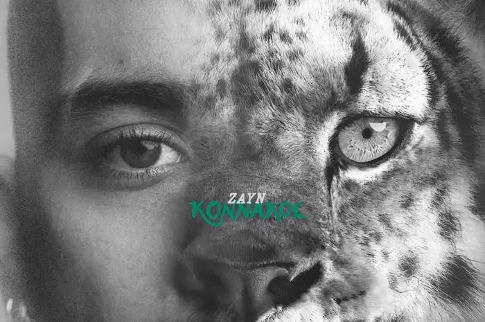 Bikin Baper! Ini Lirik + Makna Lagu "Die For Me" Zayn Malik yang Bikin Kamu Ngerasa Pernah Dicintai dan Dikhianati