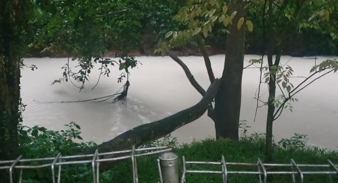 Ngeri! Sungai Jalatreng Tangsel Mendadak Putih Pekat, Diduga Tercemar Limbah Pestisida Beracun