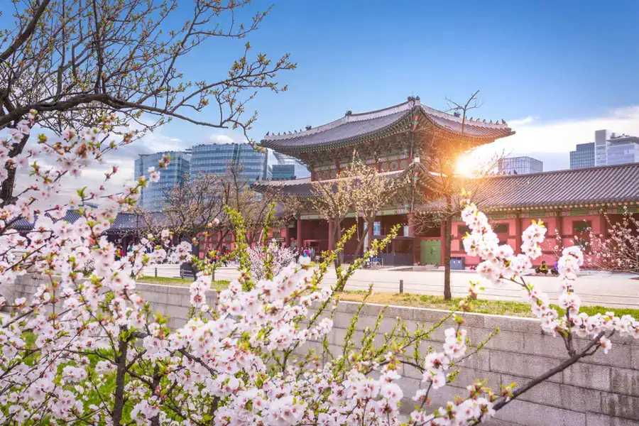 Korea Selatan Uji Coba Bebas Visa untuk Turis Indonesia, Bagian Target 30 Juta Wisatawan Asing