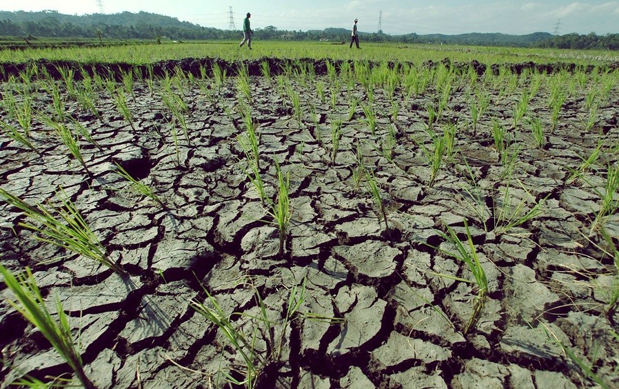 Krisis Air Global Kian Parah, Laporan PBB Soroti Ancaman Kekeringan Dunia