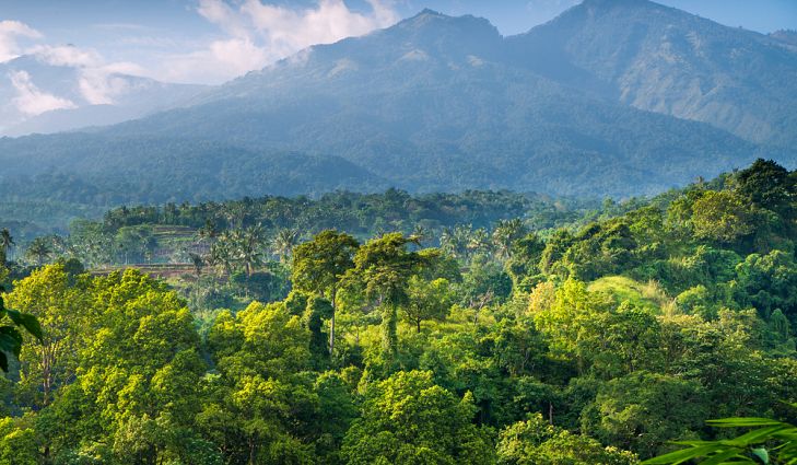 Mengapa Indonesia Jadi Salah Satu Wilayah yang Dinilai Aman Jika Perang Dunia 3 Terjadi?