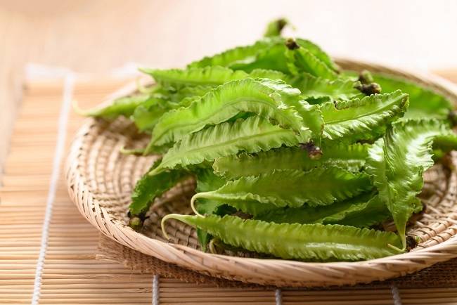 Jangan Remehkan Kecipir! Ini 5 Khasiat Luar Biasa untuk Vitalitas dan Stamina Pria Dewasa