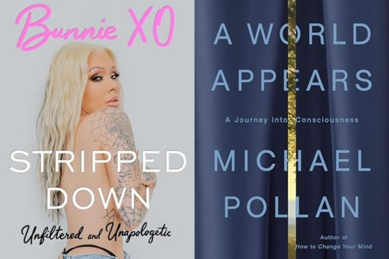 Daftar 15 Buku Terlaris New York Times Maret 2026 yang Sedang Viral: Ada 'Stripped Down' Bunnie Xo dan Karya Terbaru Michael Pollan