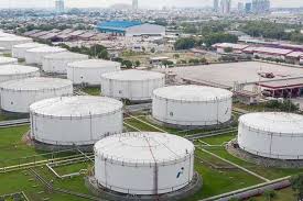 Pemerintah Patut Pertimbangkan Reformasi Subsidi Energi