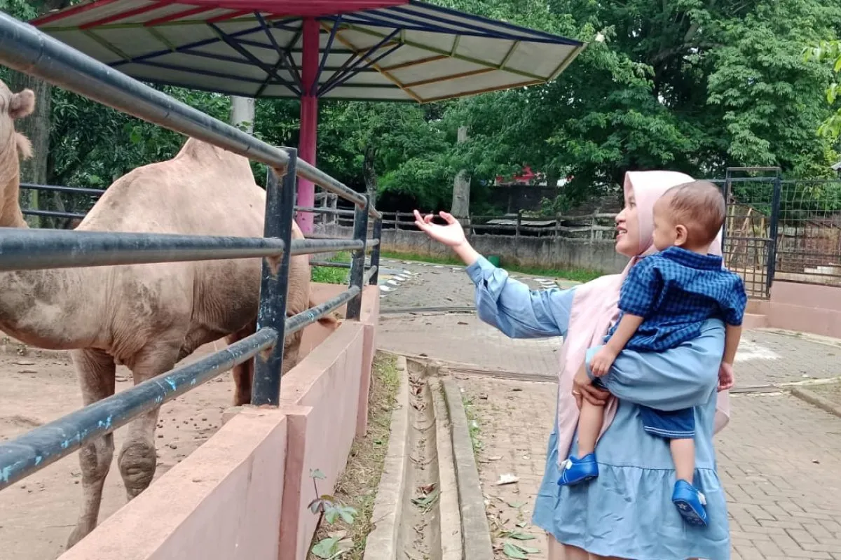 Libur Lebaran 2026 Diprediksi Ramai! Semarang Zoo Pasang Target 60 Ribu Pengunjung, Siapkan Atraksi Satwa Baru