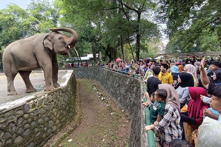 Ragunan Diserbu Ratusan Ribu Pengunjung Saat Libur Lebaran, Tembus 353 Ribu Orang