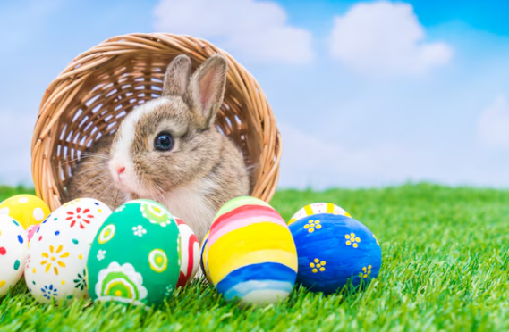 Sejarah Kelinci Paskah Dan Asal-Usul Easter Bunny Yang Menjadi Simbol Populer Dunia!